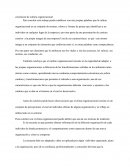 Cultura organizacional