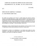 Visto bueno comite colonos