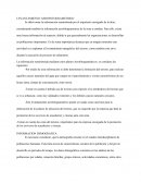 Levantamiento fotogrametrico