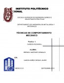 COMPORTAMIENTO MECANICO