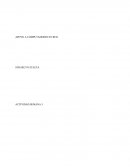 APOYO A COMPUTADORES EN RED