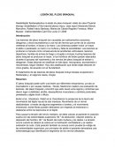Reseña plexo braquial