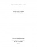 Imagenes ilusionarias