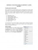 Reportes Netbeans y Ireport