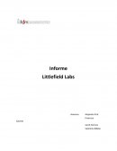 Littlefield ensayo