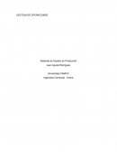 Sistemas de Gestión en Producción