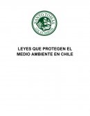 LEYES QUE PROTEGEN EL MEDIO AMBIENTE EN CHILE
