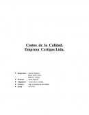 Costos de la Calidad. Empresa Certigas Ltda.