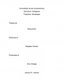 Bioquimica. Ácidos nucleicos