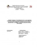 Diseño de manual de distribucion de la yuca