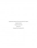 Legislacion de prevencion de riesgo Domingo 09 de Noviembre del 2014