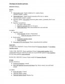 Osteología del miembro pelviano: