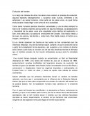 Evolución del hombre. A lo largo de millones de años, los seres vivos vivieron un proceso de evolución