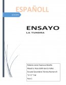 Ensayo sobre la Tundra