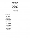 Fluidos