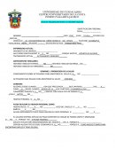 PROCESO DE ATENCIÓN EN ENFERMERÍA PSIQUIÁTRICA