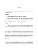 Historia de la Anatomia