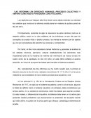 Ensayo sistema acusatorio