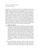 Decisiones de Desarrollo del Producto