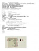 Programa con if Basic