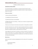 INFORME COSO