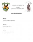 PROTOCOLO DE INVESTIGACIÓN PROBLEMAS AMBIENTALES