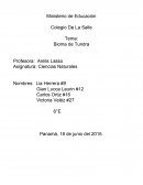 Enfermedades de los sentidos