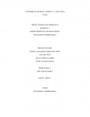 DISEÑO PROPUESTA DE DIAGNOSTICO EMPRESARIAL