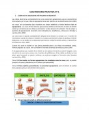 Cuestionario microbiologia