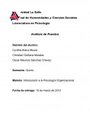 Análisis de Puestos Secretaría de Comunicaciones y Transportes (SCT)