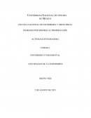 ENFERMERIA FUNDAMENTAL NATURALEZA DE LA ENFERMERÍA