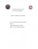 Biología y su interacción con otras ciencias