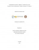 Direccionamiento estrategico