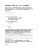 SISTEMA REPRODUCTOR FEMENINO Produce los ovocitos y algunas de las hormonas que necesita para funcionar