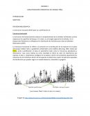 CARACTERIZACIÓN HORIZONTAL DEL BOSQUE PIÑAL