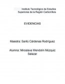 Instituto Tecnológico de Estudios Superiores de la Región Carbonífera