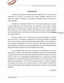 Titulos valores ensayo