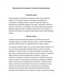 Mecanismos de transporte a través de las membranas