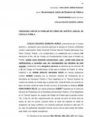 Formato de demanda de visita y convivencia