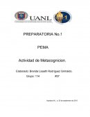Actividad de Metacognicion. PEMA