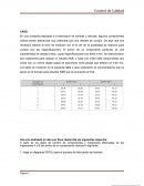 CASO Integradora semana 9