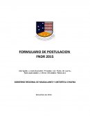 FORMULARIO DE POSTULACION FNDR 2015