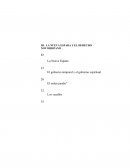 LA NUEVA ESPAÑA Y EL DERECHO NOVOHISPANO