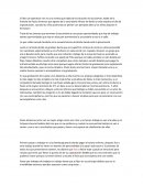 Ensayo de operativo nini