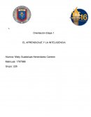 El aprendizaje y la inteligencia. Inteligencias multiples