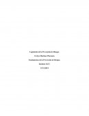 Como son los Fundamentos de la prevencion de riesgo control 3