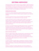 Sistema nervioso (odontologia)