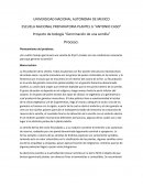 Corrientes de la historia