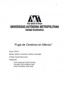 Fuga de cerebros en México