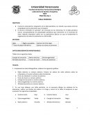 Practica 4 Tabla periodica